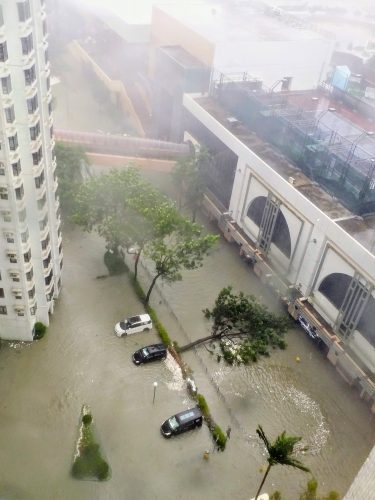 From Our City to Our "Sea-ty" by Chan Yik Hei