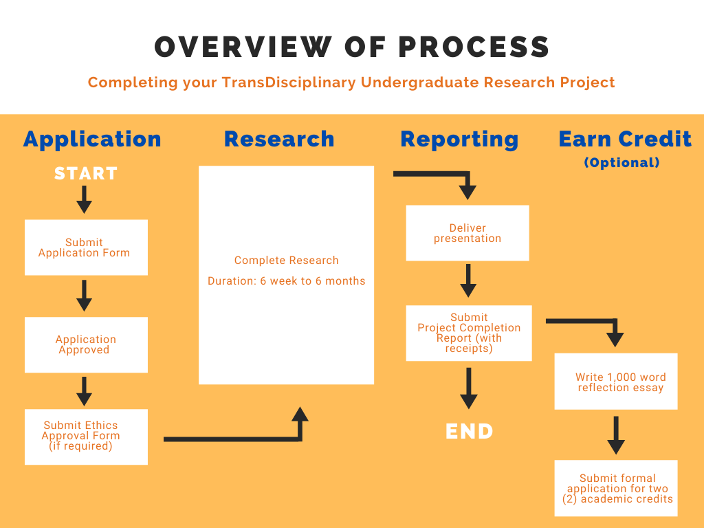 undergraduate research initiative